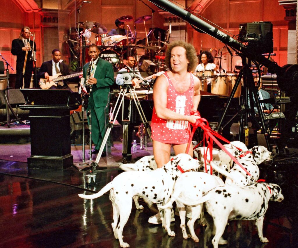 Six Dalmatians held in front of the band onstage during a show